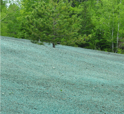 Best hydroseeding services in Decatur, Mt Zion, and Forsyth