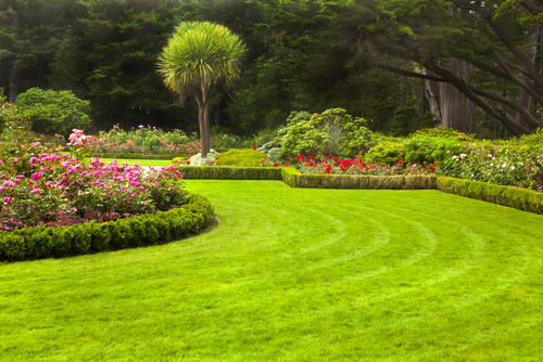 7 Things to Consider Before Hiring a Lawn Care Professional