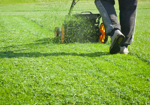 What should I look for in a professional lawn care company