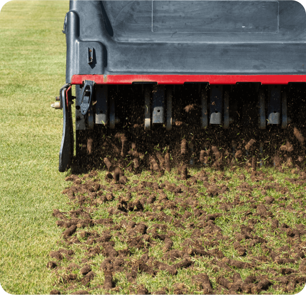 detailed overseeding in decatur, mt zion, and forsyth