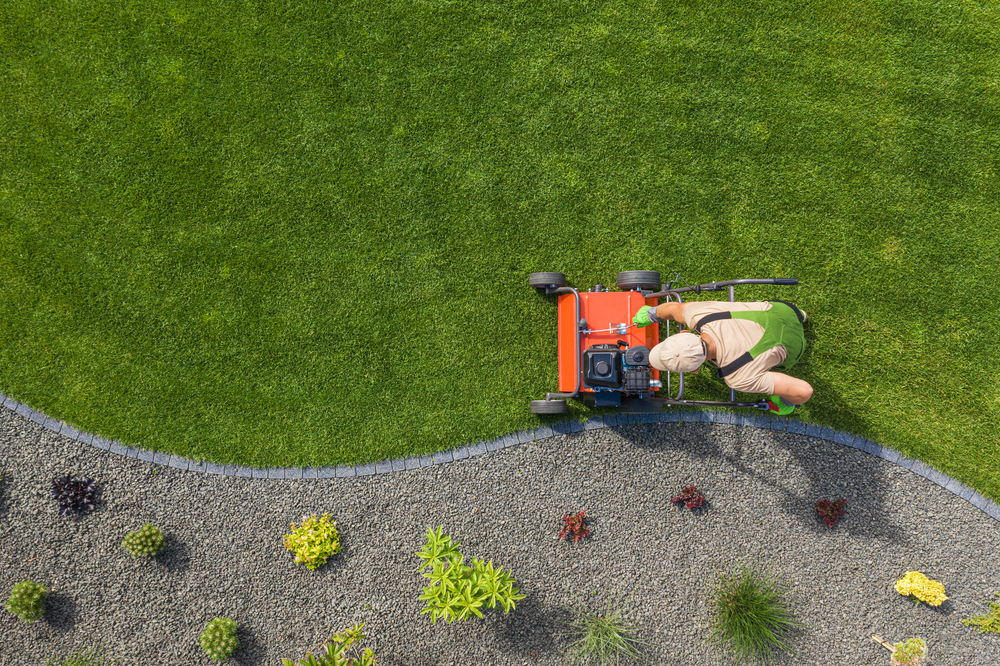 6 Essential Tools for Lawn Aeration image