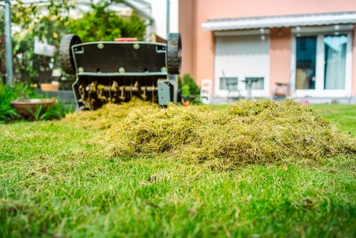 When is the best time to aerate grass lawn in Illinois