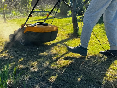 Is it better to aerate or overseed