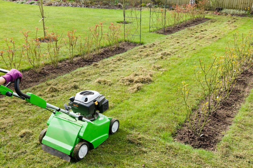 When to Aerate Your Lawn: Choosing the Perfect Time of Year image