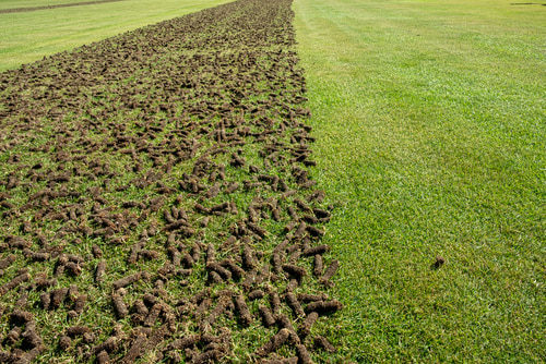 Who offers professional core aeration in Decatur, IL