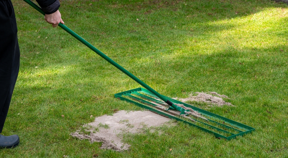 How does proper overseeding improve long-term lawn health?