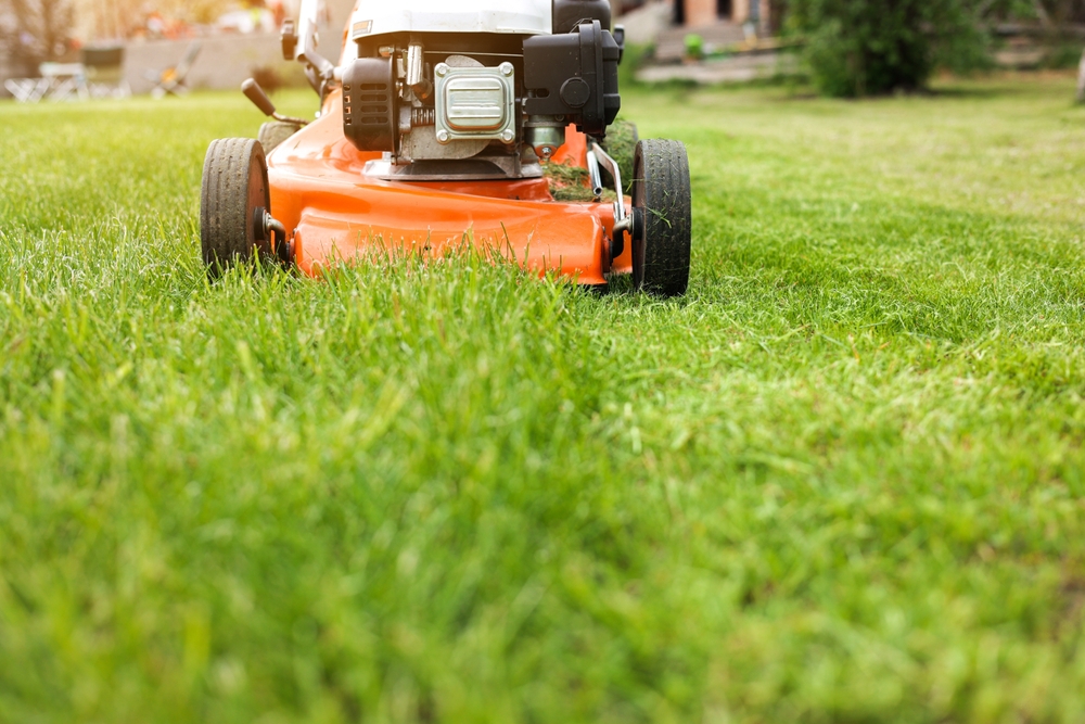 What’s the best way to mow after overseeding?