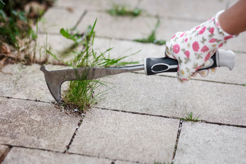 How do you know your backyard needs an upgrade