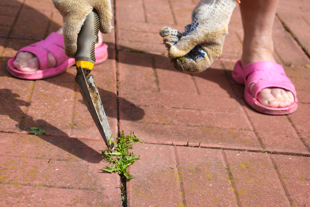 Which trustworthy hardscape company in Decatur, IL can help me improve my outdoor space
