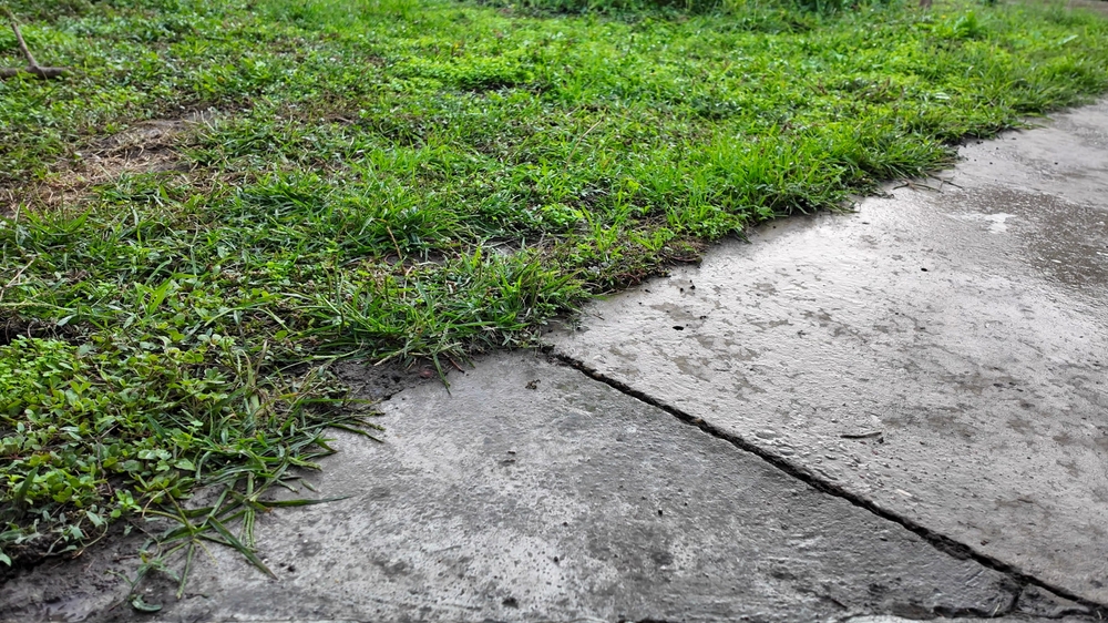 Should I mow after rain
