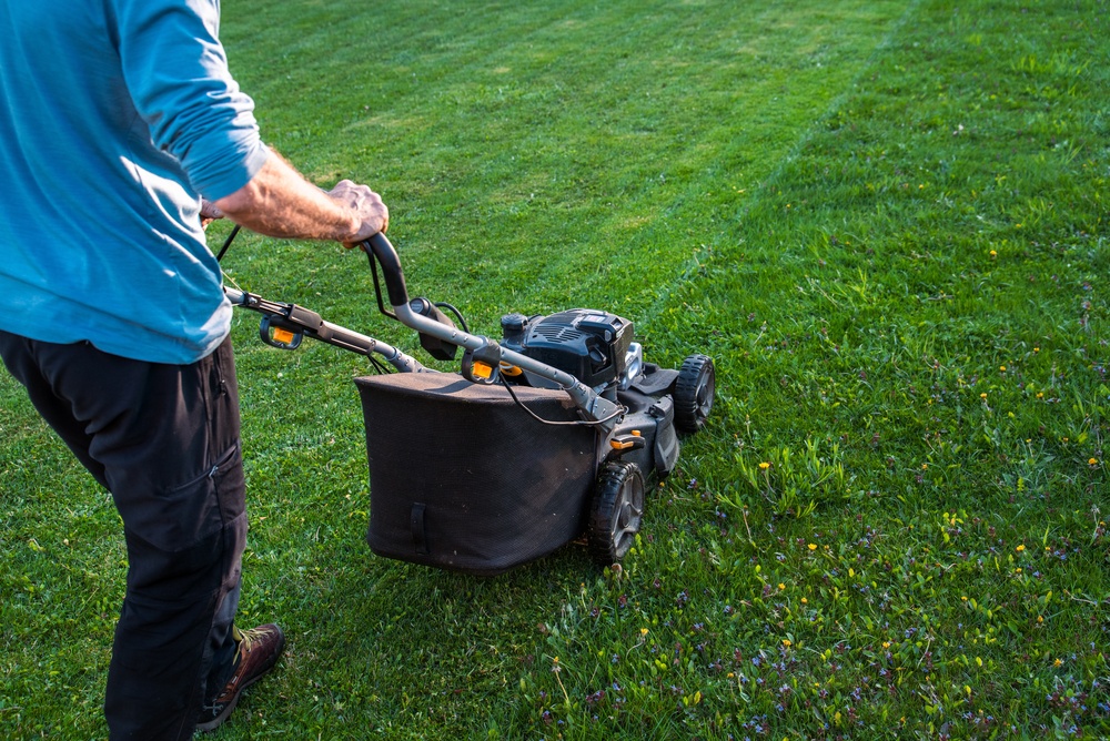 What height should I cut my grass